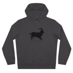 Sudadera con capucha King - Gris asfalto - Miotragus balearicus