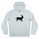 Sudadera con capucha King - Azul cielo puro - Miotragus balearicus