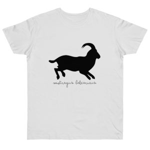 Camiseta punto liso - Blanco - Miotragus balearicus