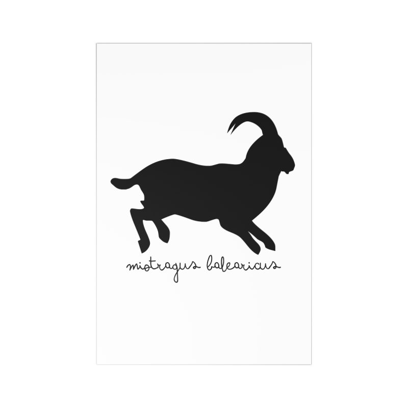 Postales (7 uds.) - Miotragus balearicus Postales (7 uds.) - Miotragus balearicus