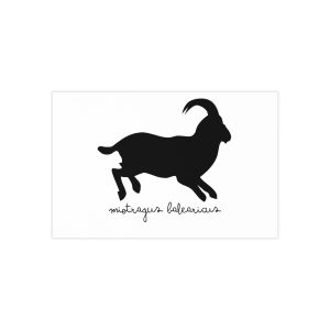 Tarjetas de visita (100 uds.) - Miotragus balearicus