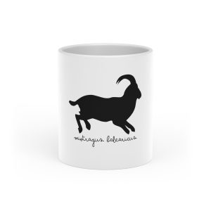 Taza con asa de corazon - Blanco - Miotragus balearicus