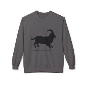 Sudadera Softstyle cuello redondo - Gris marengo - Miotragus balearicus