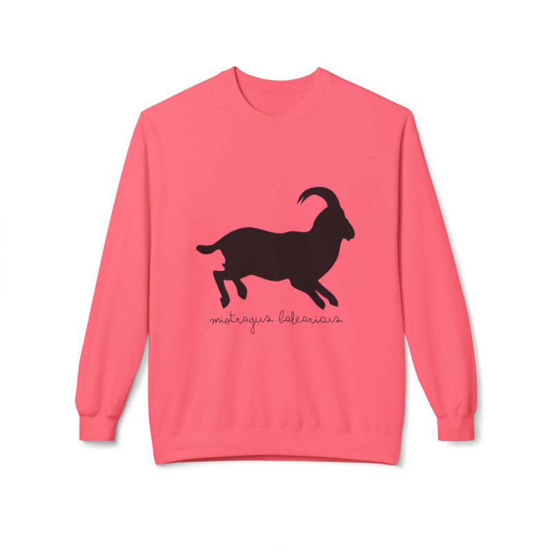 Sudadera Softstyle cuello redondo - Rosa limonada - Miotragus balearicus