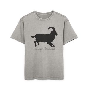 Camiseta oversize lavado acido - Gris asfalto - Miotragus balearicus