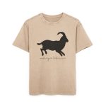 Camiseta oversize lavado acido - Beis - Miotragus balearicus