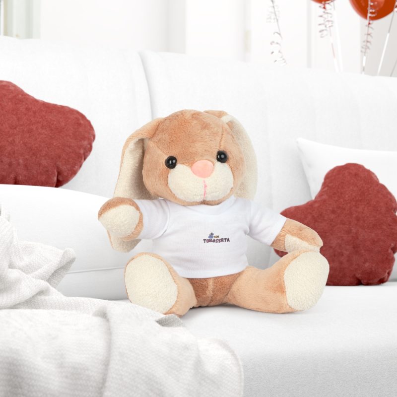 fulfilment-27210-camiseta-sor-tomasseta-botants-peluche-con-camiseta-2