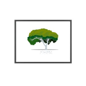 número pi — Poster con marco de madera