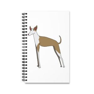 Ca eivissenc — Cuaderno de espiral