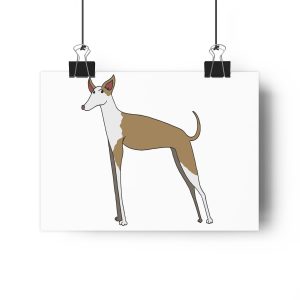 Ca eivissenc — Lamina Giclee