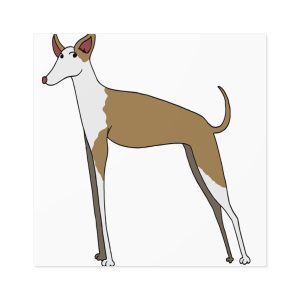 Ca eivissenc — Pegatinas laminadas cuadradas