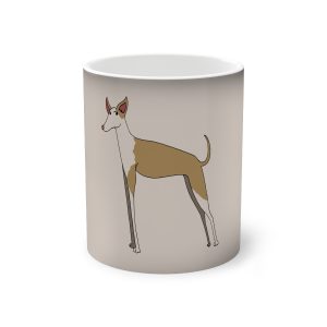 Ca eivissenc — Taza magica que cambia de color