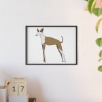 fulfilment-31373-camiseta-ca-eivissenc-poster-con-marco-de-madera-7