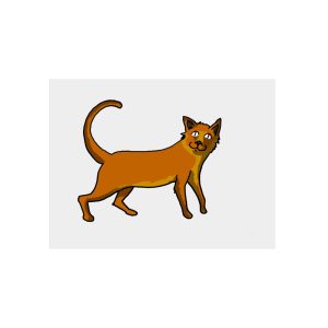 Moix – gato naranja de paseo — Panel de aluminio