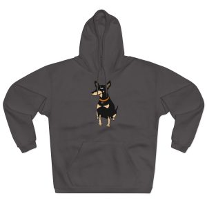 Ca rater — Sudadera con capucha cerrada
