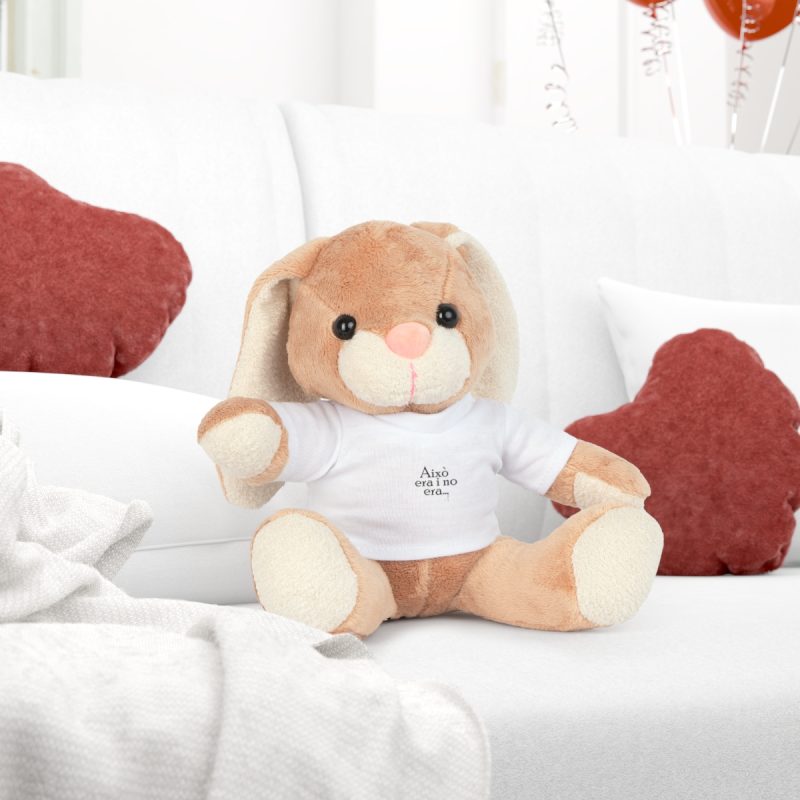 fulfilment-33976-camiseta-aixo-era-i-no-era-peluche-con-camiseta-2