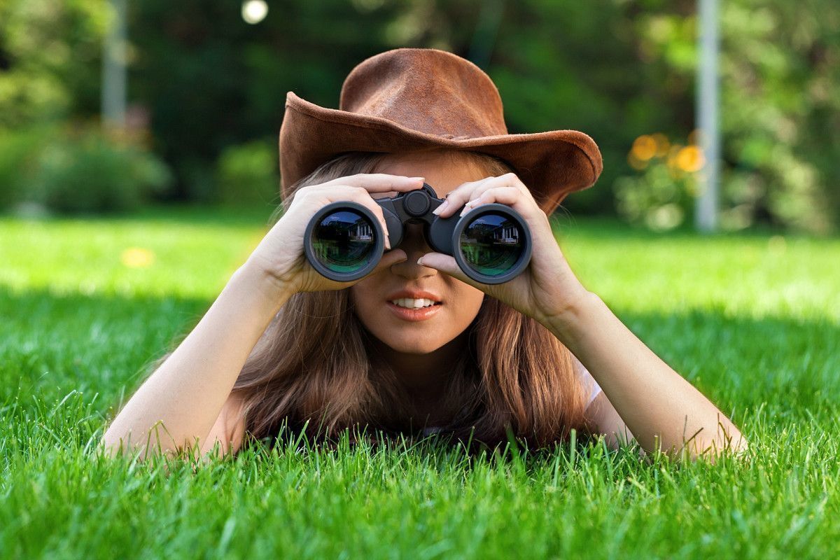 LifetimeStock-68852-L