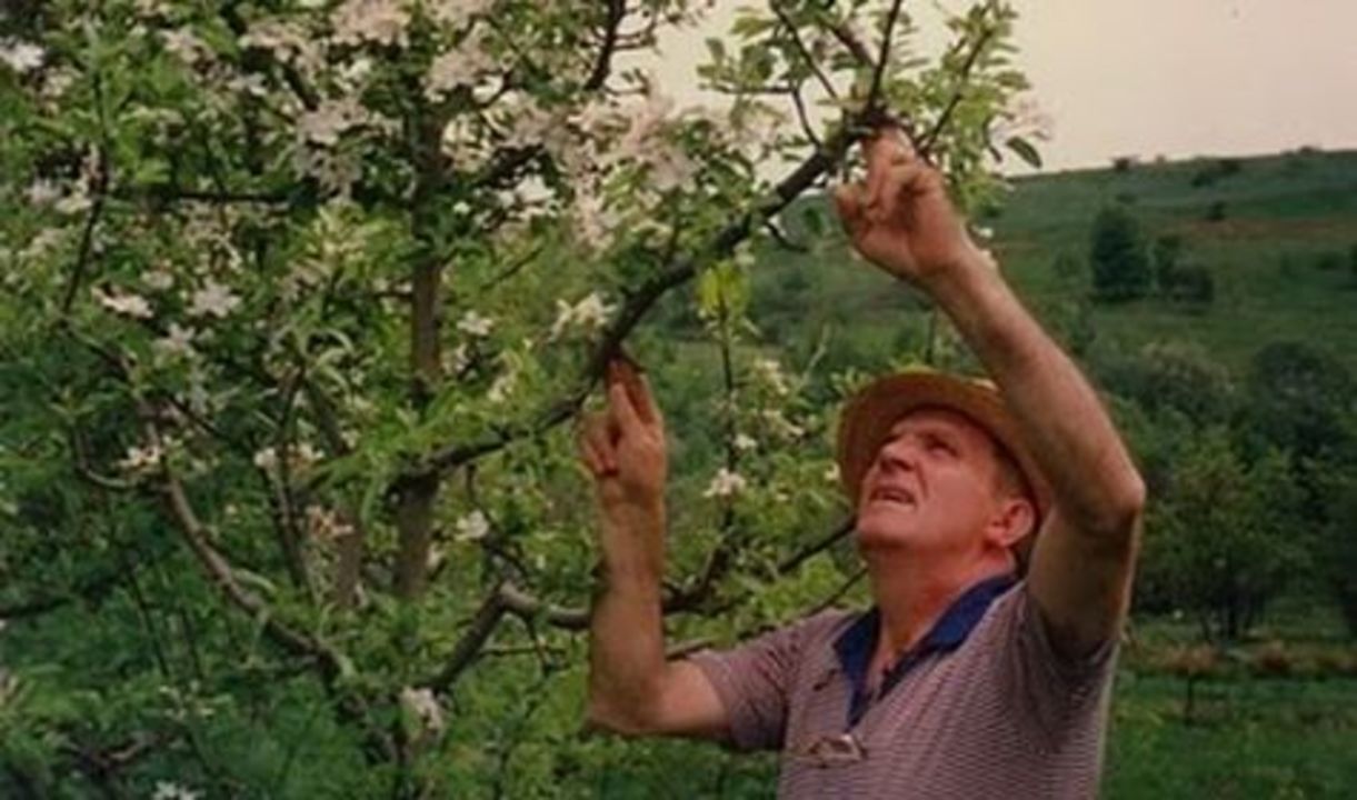 002_Album de familie