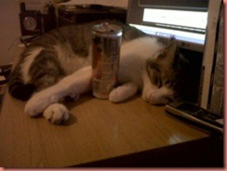 IMG00762-20110517-0942