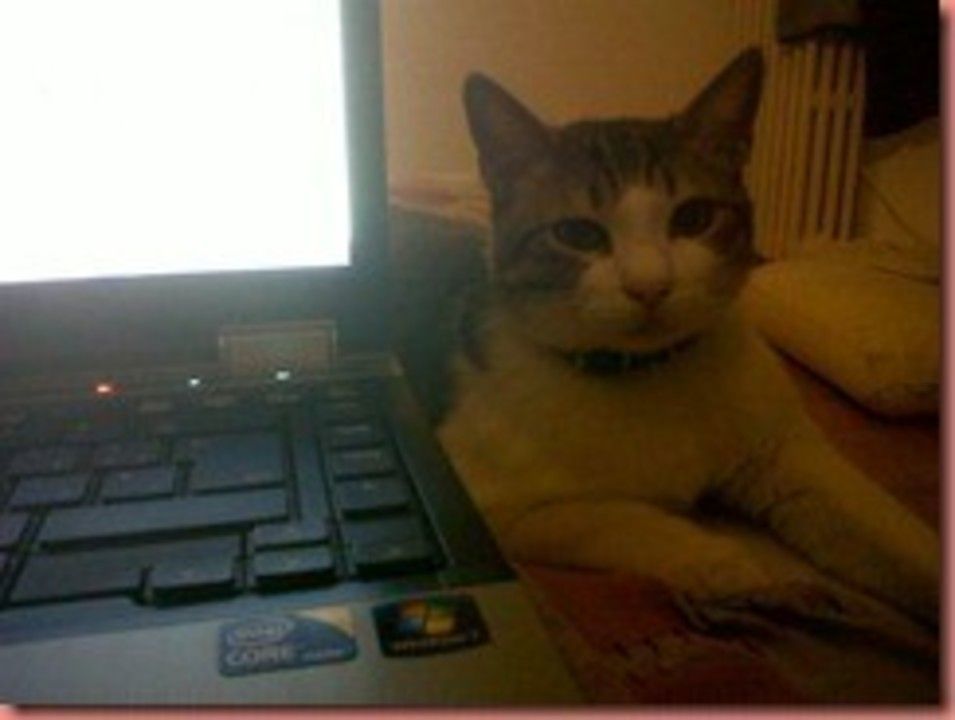 IMG01123-20120423-2134