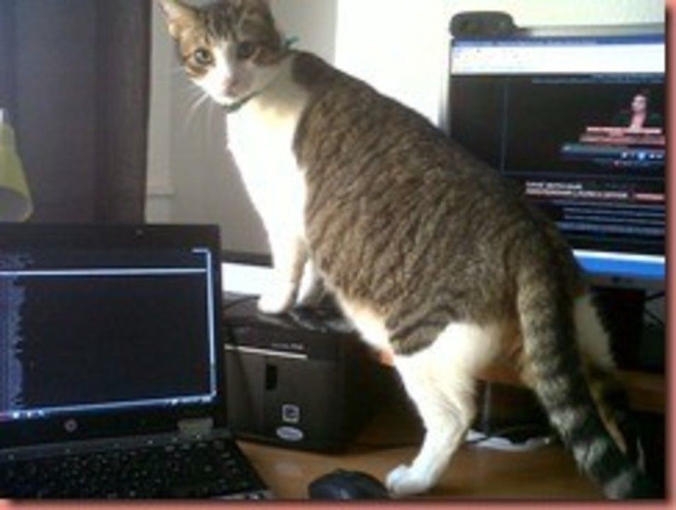 IMG01029-20120221-1649