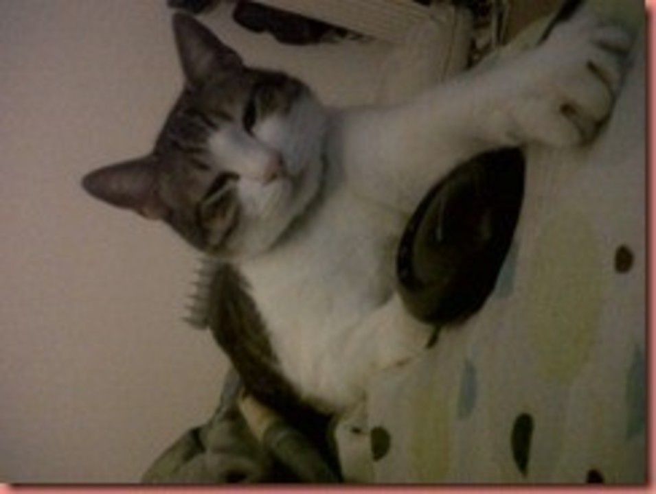 IMG01041-20120226-2108