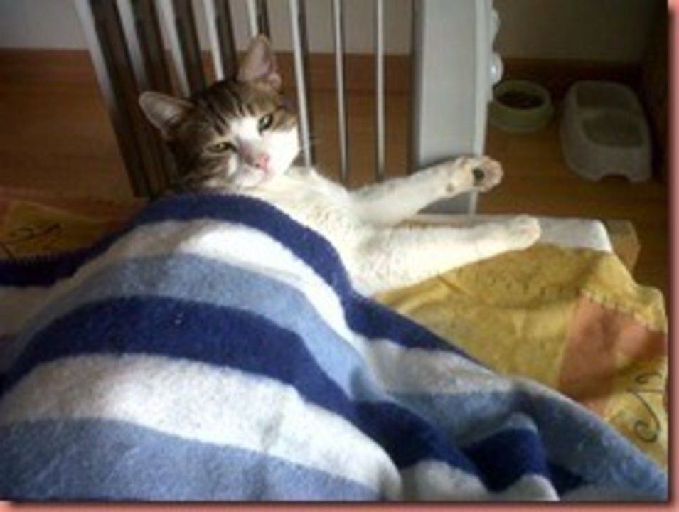 IMG01016-20120131-1523