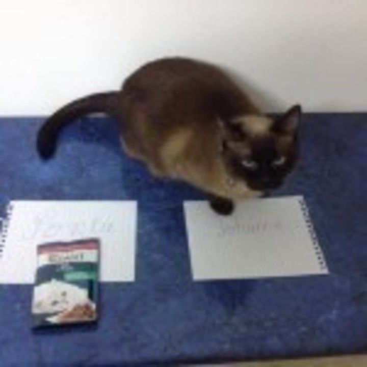 1908462_1557608951118212_8582288451763183907_n