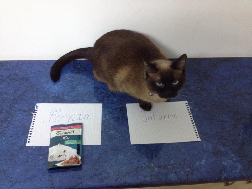 1908462_1557608951118212_8582288451763183907_n