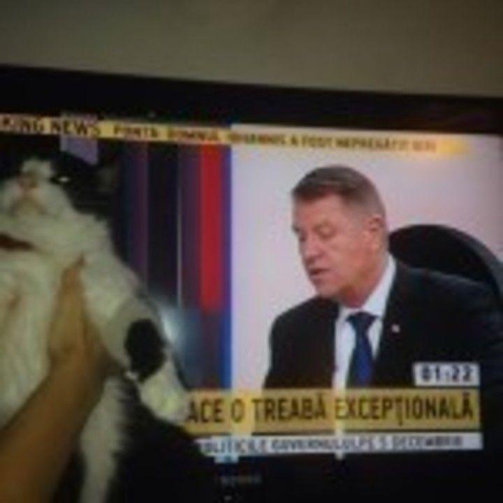 1661834_10153303255484746_4545239473158233836_n