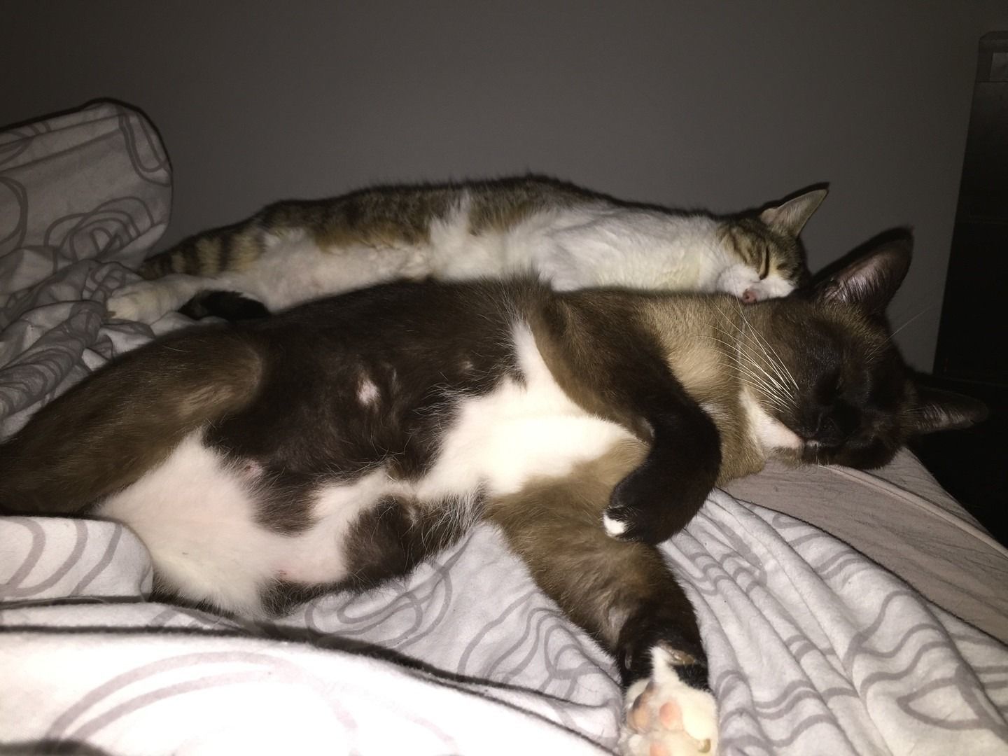 2017-08-14_07-30-59_613