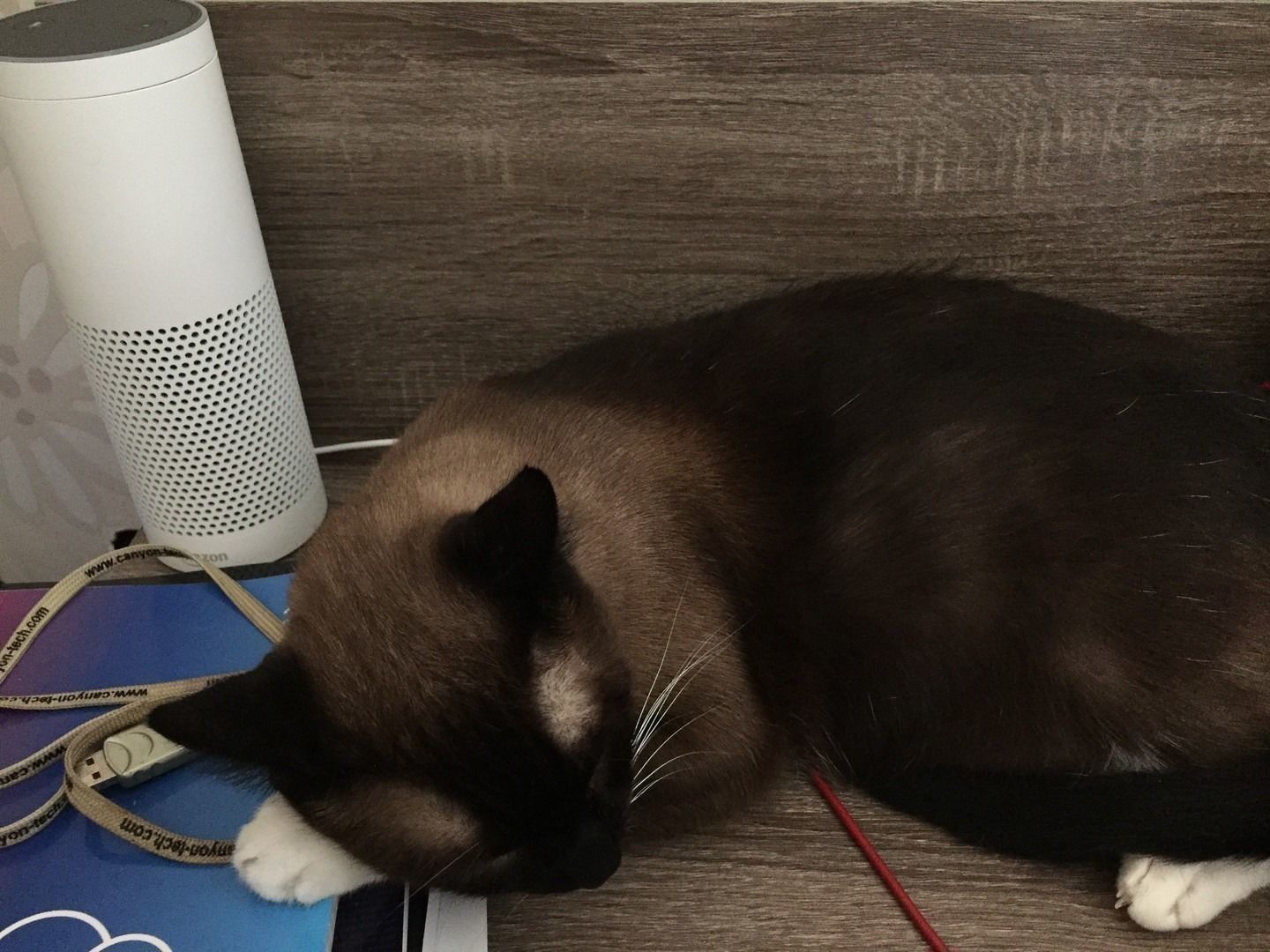 2017-09-06_11-25-04_558