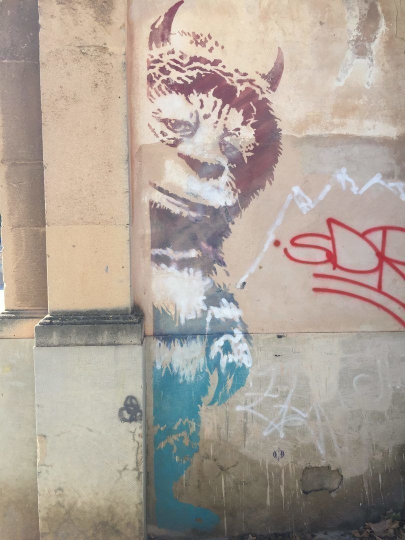 2017-11-18_14-17-46_215