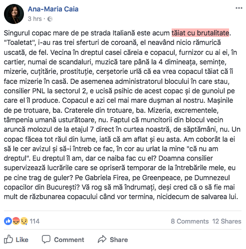 Screen-Shot-2017-10-11-at-12.23.47