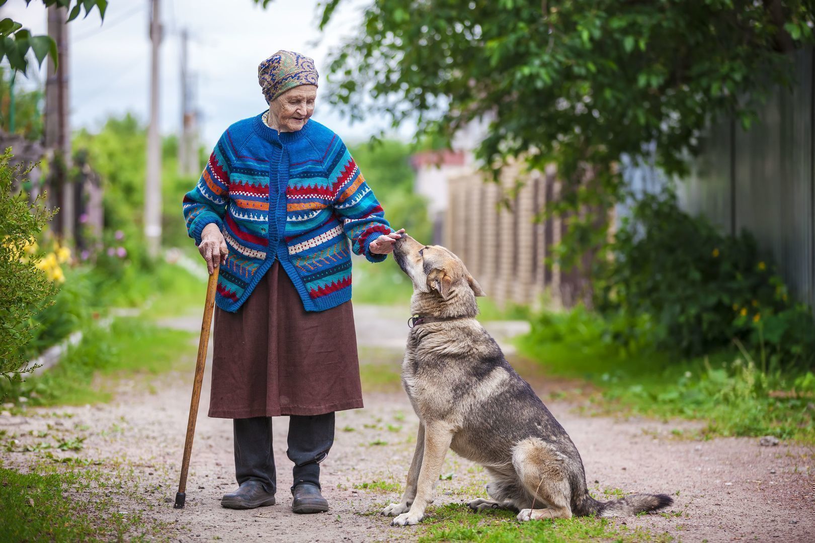 elderly-woman-with-a-dog-in-countryside-PDP856F