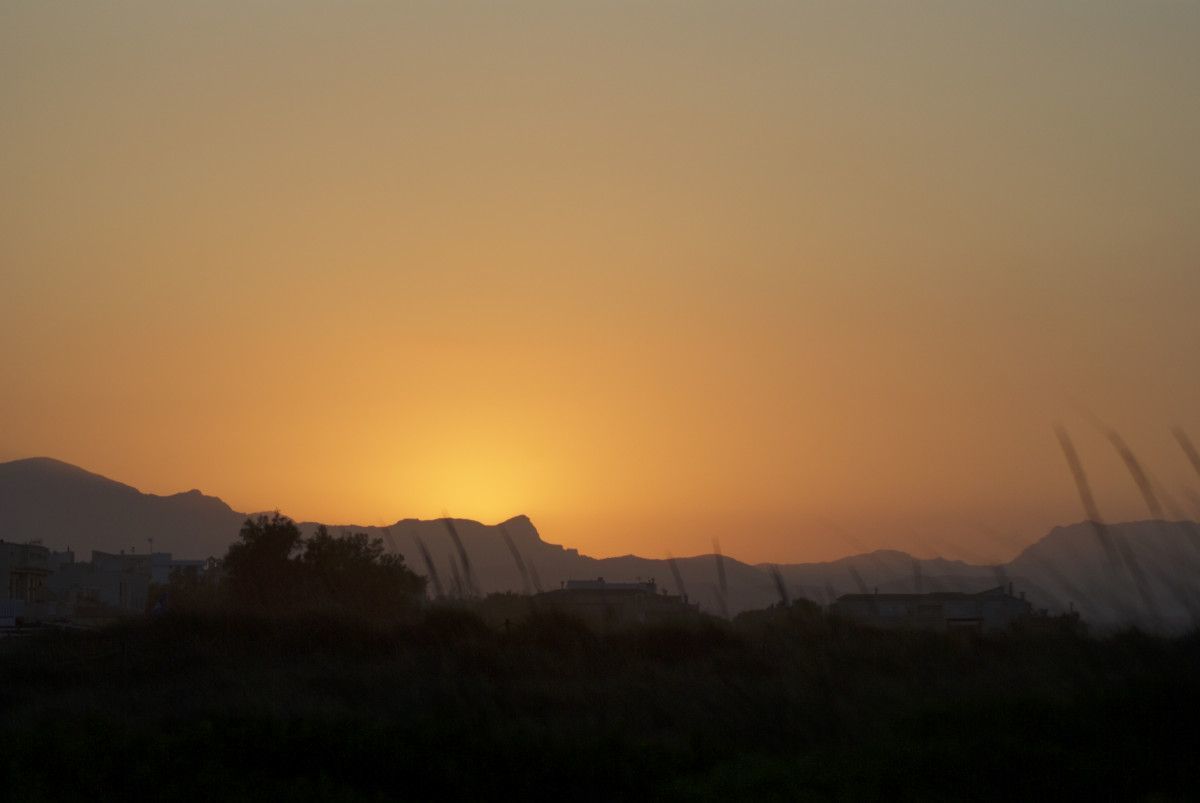 DSC9951
