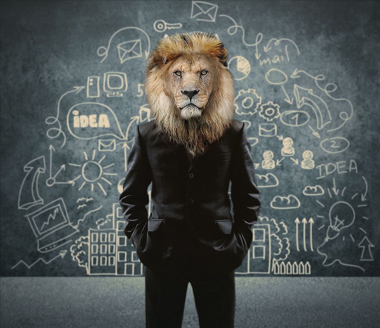 LifetimeStock-28303-L