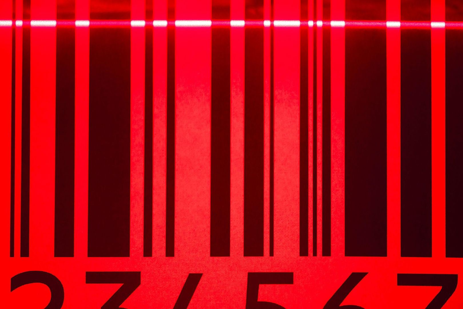 LifetimeStock-21205-L