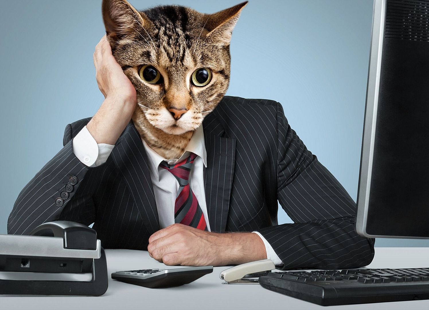 LifetimeStock-28297-L