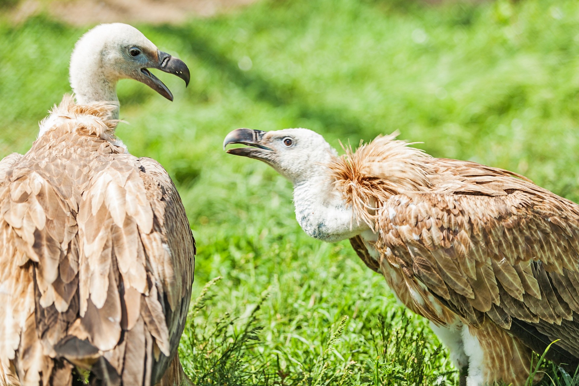 LifetimeStock-232215-L