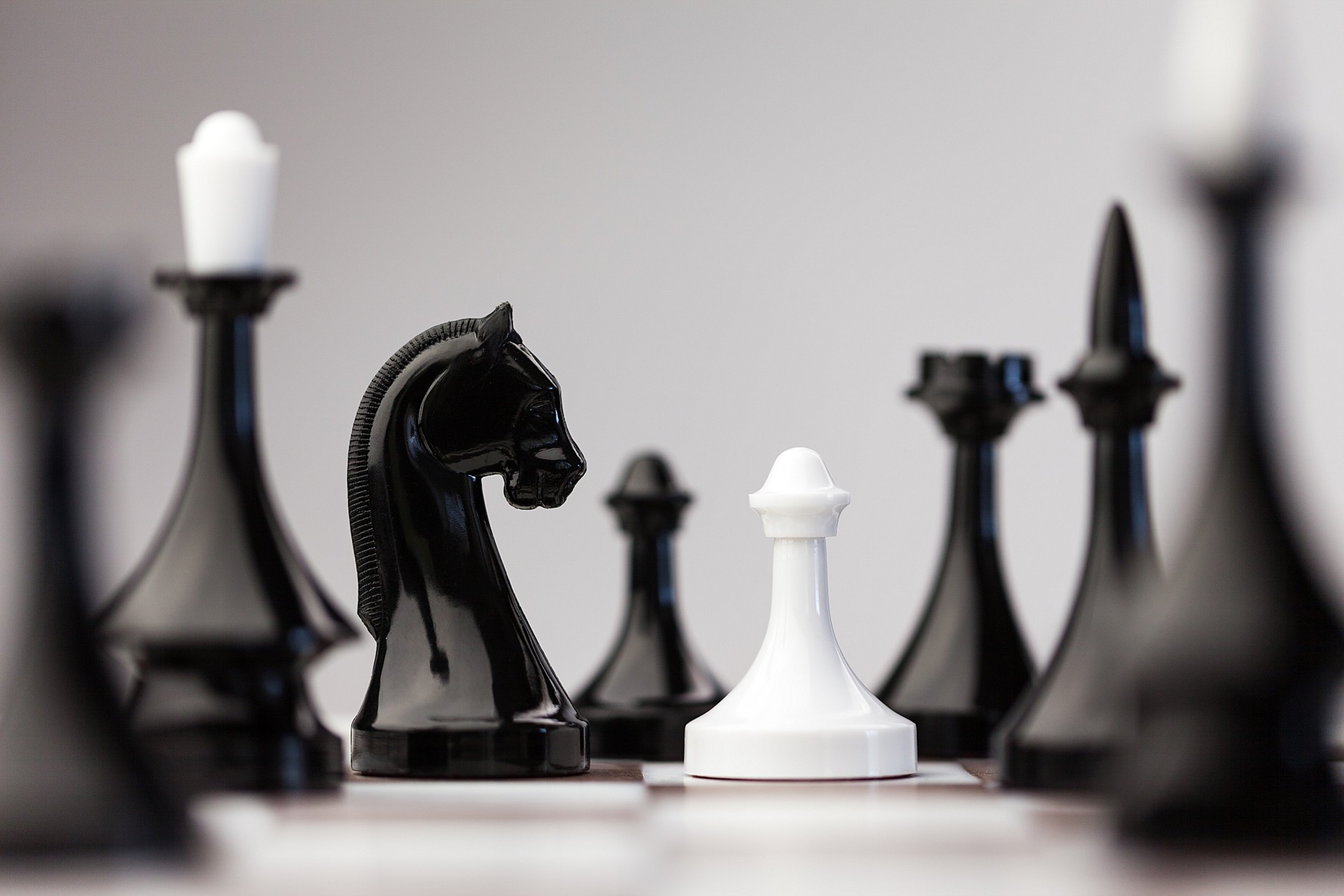 LifetimeStock-214293-L