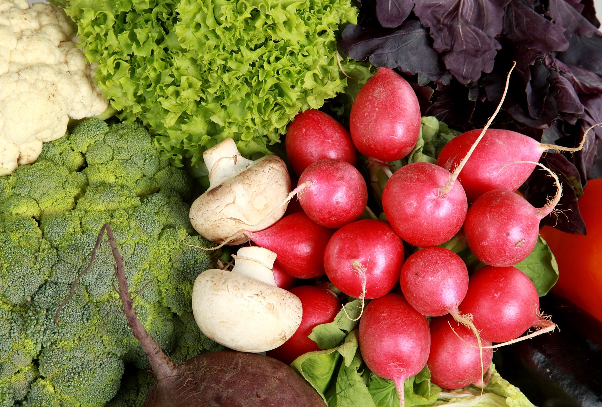 LifetimeStock-246915-L