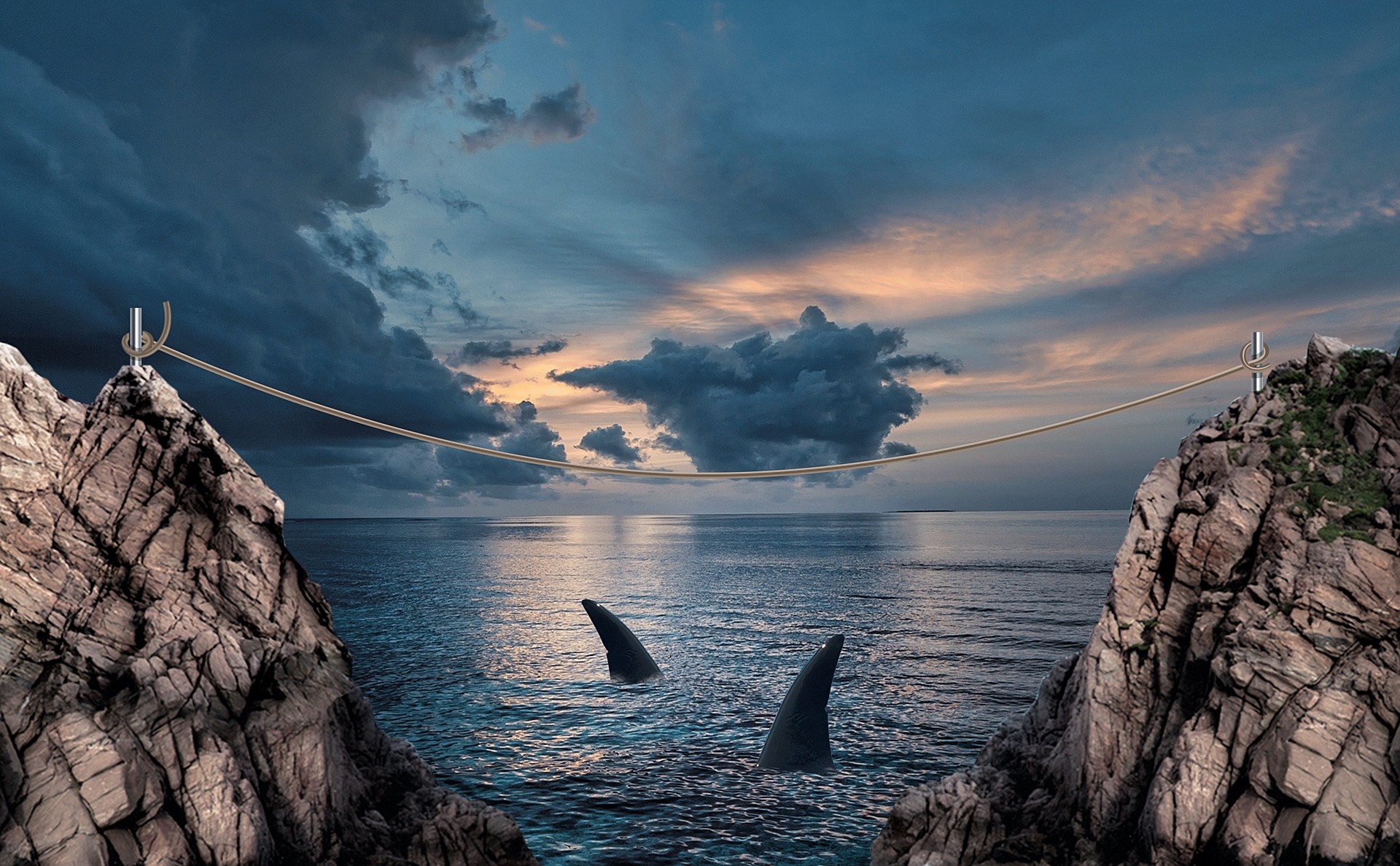 LifetimeStock-272456-L