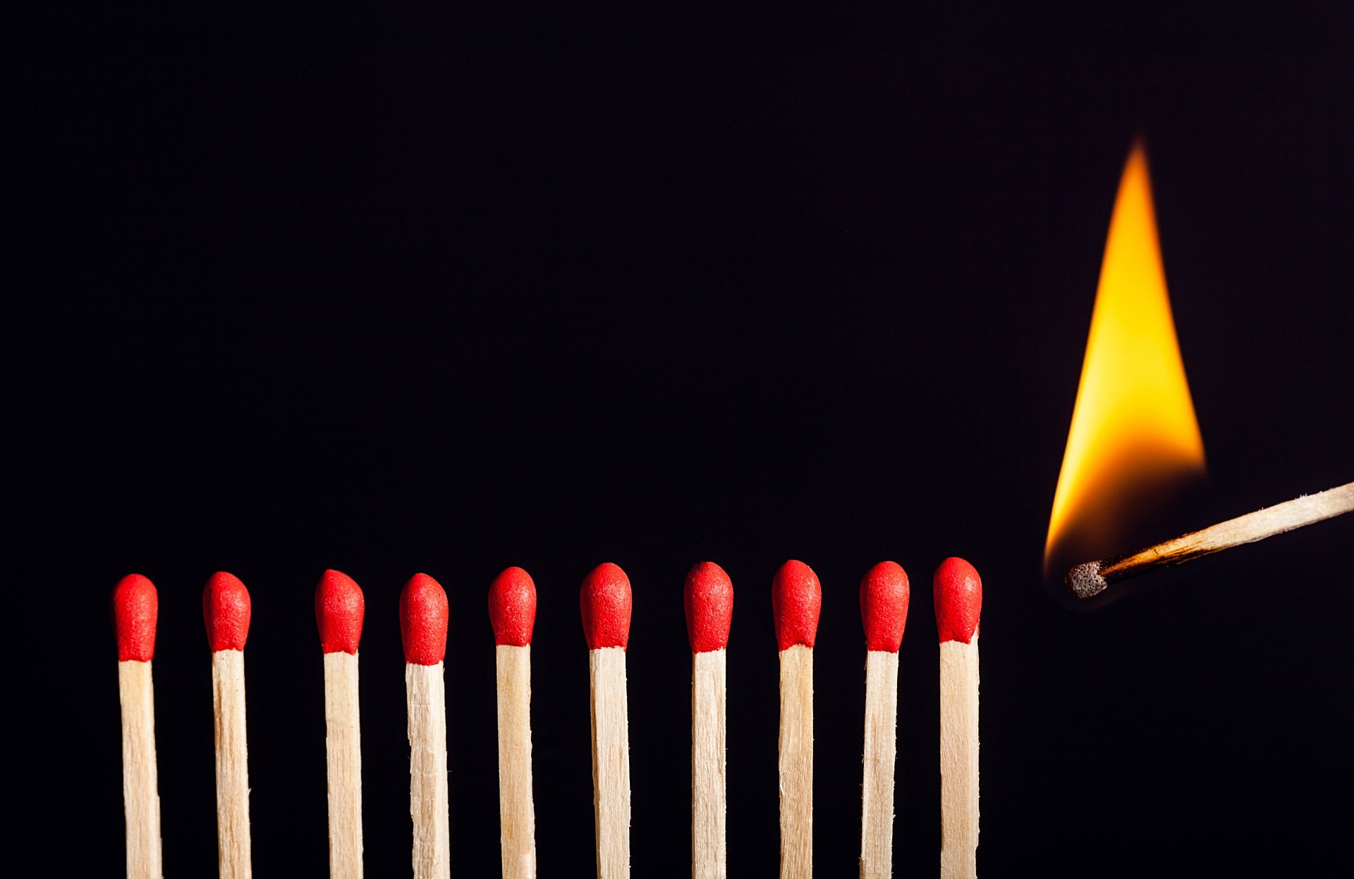 LifetimeStock-168908-L