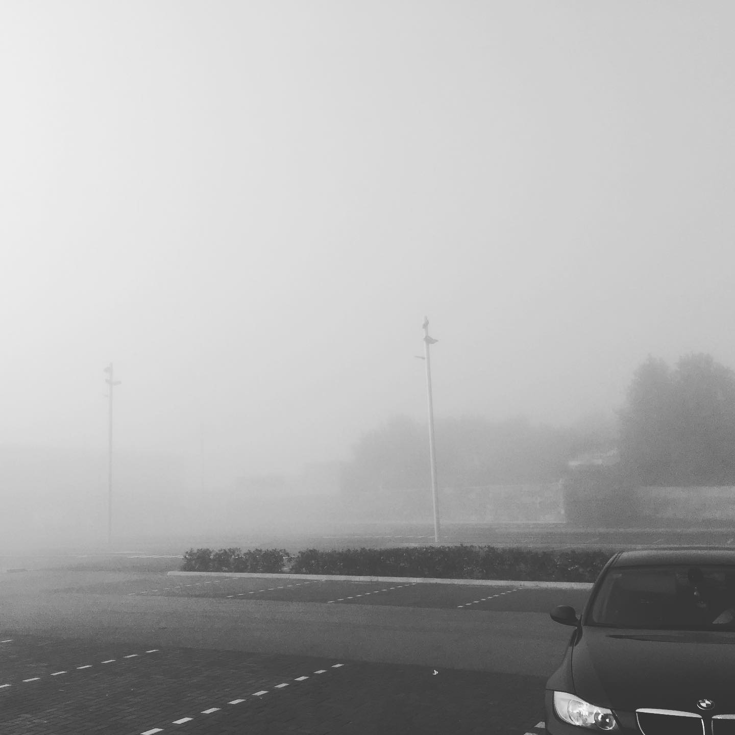 123134828_3575243495831214_3758346116610006326_o