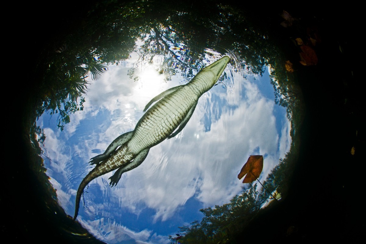 AdobeStock_301943664