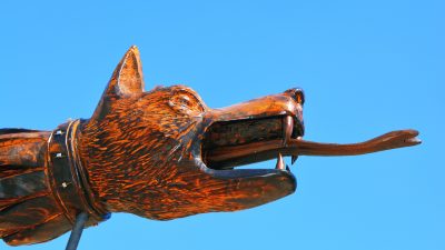 laurbadea-dacia-1831150