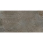 M2. Pamesa 30×60 Cadmiae ferro M19