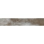 M2. Pamesa 20×120 at. Dallas bone