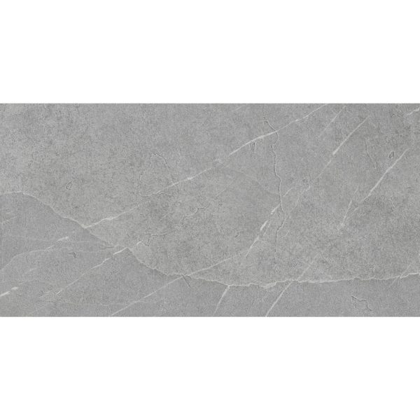 M2. Pamesa 60x120 pietra di lavagna argento
